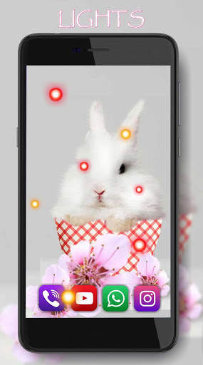 Funny Bunnies Live Wallpaper screenshot 4