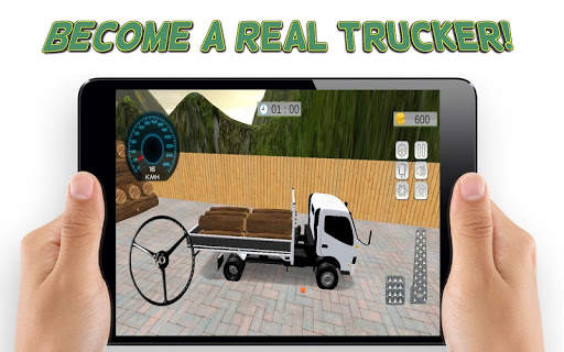Extreme Truck Driving Simulator screenshot 6