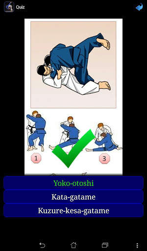 Judo in brief screenshot 10