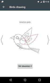 how to learn Draw Birds screenshot 8