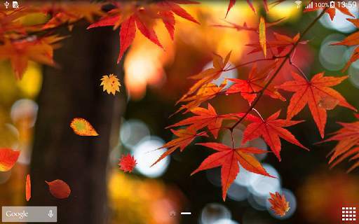 Autumn Wallpaper screenshot 10