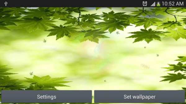 green leaf live wallpaper screenshot 2