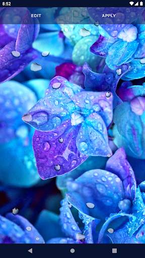 Water RainDrops Live Wallpaper screenshot 4