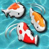 Feed the Koi fish Kids Game logo