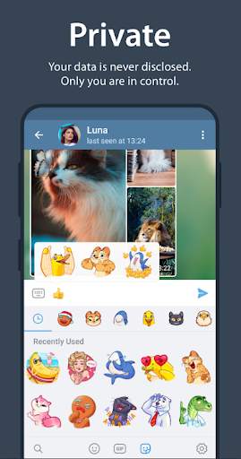 Messenger Plus screenshot 5