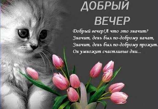 Добрый Вечер Открытки 1 تصوير الشاشة