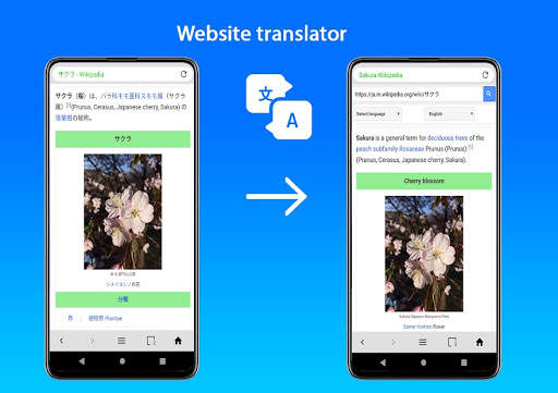 Browser screenshot 2