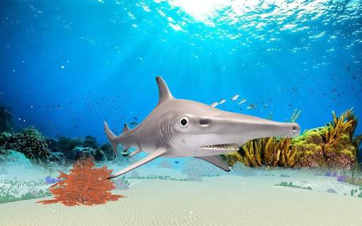 The Hammerhead Shark screenshot 19