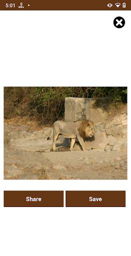 Gujarat Wildlife screenshot 3