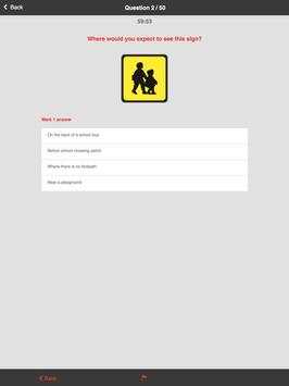 Driving Lessons screenshot 8