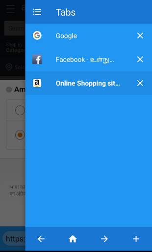 Web Browser screenshot 2