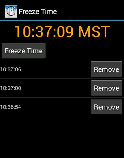 Freeze Time screenshot 2