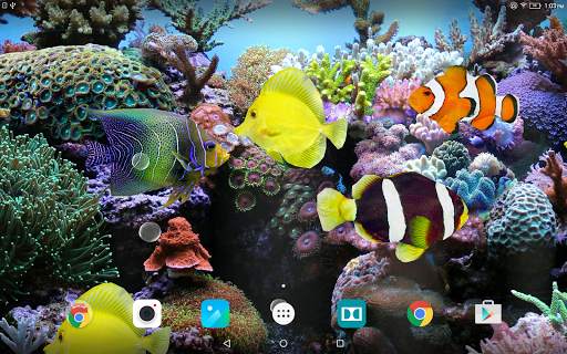 Coral Fish 3D Live Wallpaper screenshot 9