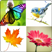 Simple Collage icon