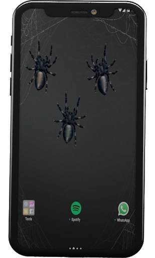 Angry Spiders Live Wallpaper screenshot 4