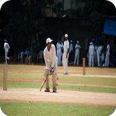 Cricket Wallpapers HD icon