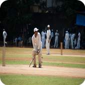 Cricket Wallpapers HD 1.0