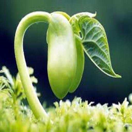 Livingseed App 1.0