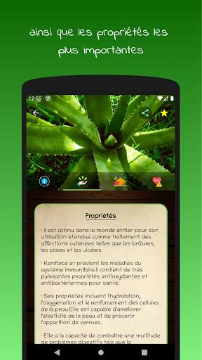 myRemedy: Plantes Médicinales screenshot 5