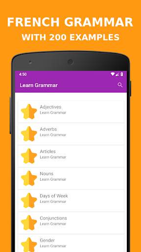 French Grammar OFFLINE скриншот 1