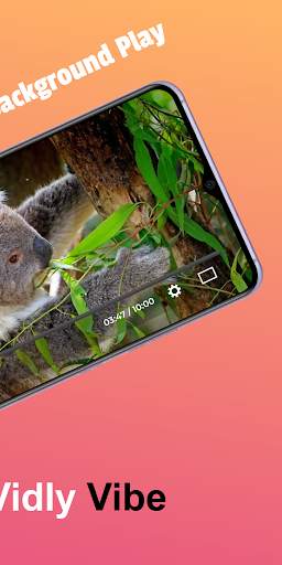 Vidly Vibe screenshot 4