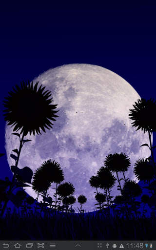 Sunflowers Free Live Wallaper screenshot 4