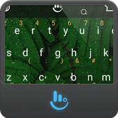 Leaf - New Version on 9Apps