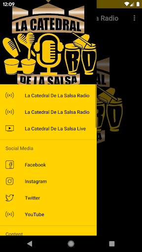 La Catedral De La Salsa Radio screenshot 3
