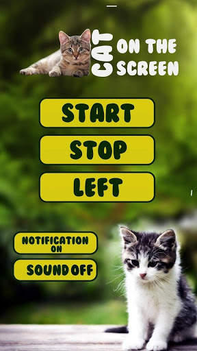 Funny Cat Walks On Screen - Cute Animation screenshot 8