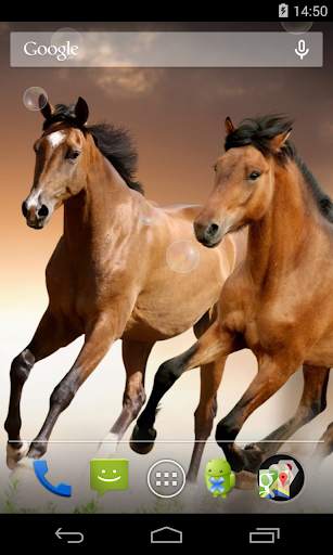 Horses Live Wallpaper screenshot 2