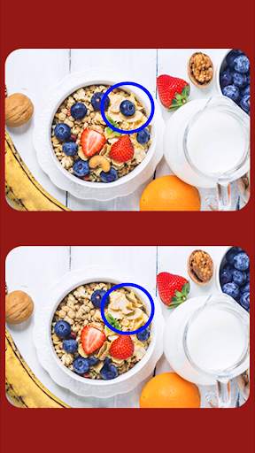 Spot The Differences Game screenshot 3