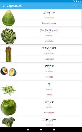 Japanese Vocabulary By Topics (With Pictures) скриншот 16