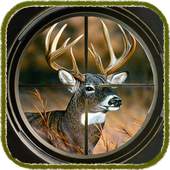 Deer hunter sniper 3D 1.0