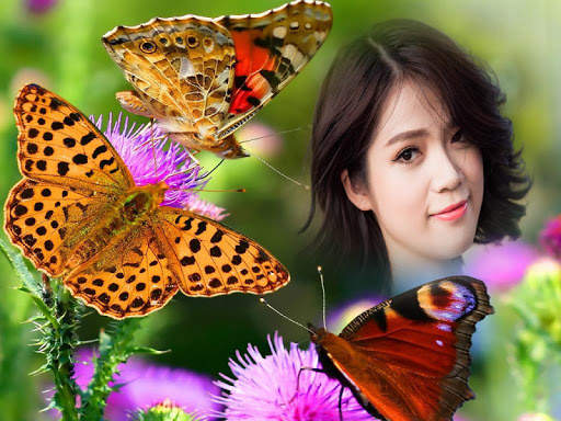 Butterfly Frame Collage screenshot 1