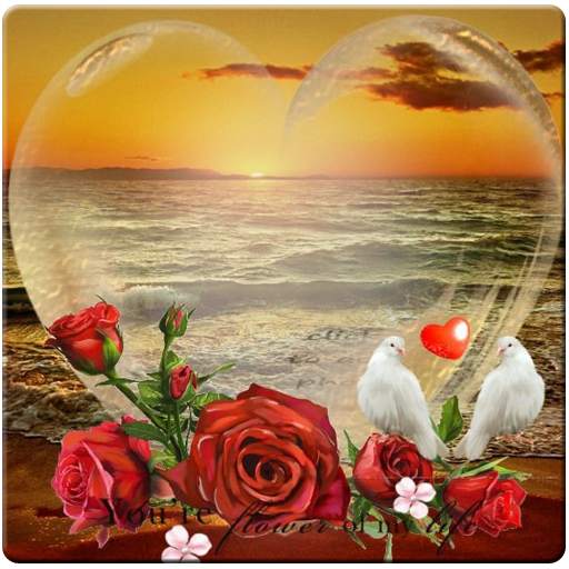 Love Photo Frames 1.0