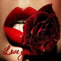 Red Lip Rose LWP on 9Apps