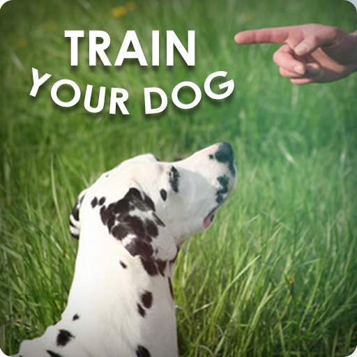 Dog Training - Train your Dog 1.0