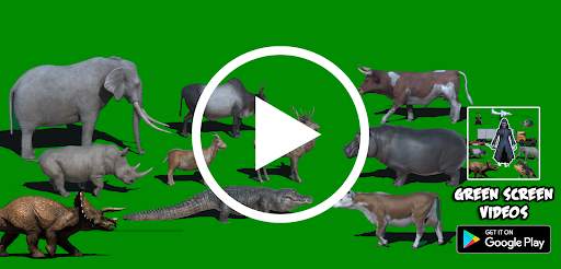 Green Screen Videos screenshot 1