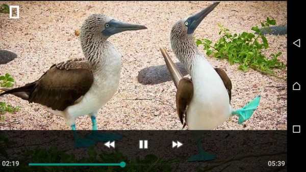 Download Mp4 Player screenshot 3
