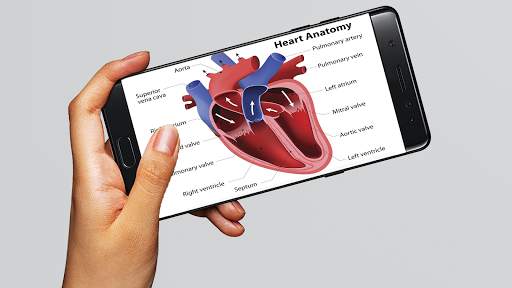 Human anatomy 3D : Organs and Bones screenshot 5