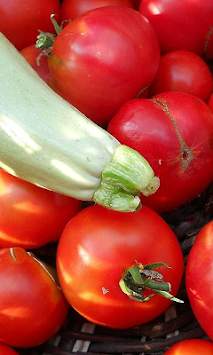 Tomatoes Wallpapers screenshot 4