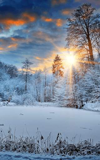 Snow Live Wallpaper HD screenshot 2
