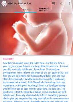 Pregnancy Stages screenshot 11