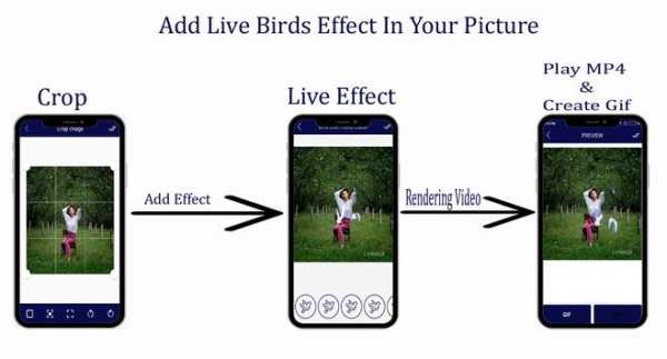 Bird Live Photo Editor screenshot 1