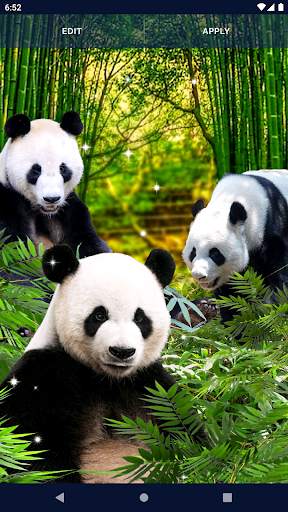 Panda Parallax Wallpapers screenshot 4