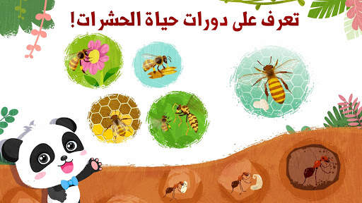 حشرات الباندا الصغير الرائعة 4 تصوير الشاشة