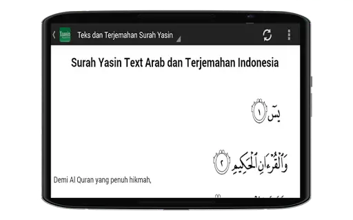 Surat Yasin Mp3 Download screenshot 2