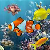 Fish Aquarium Free иконка