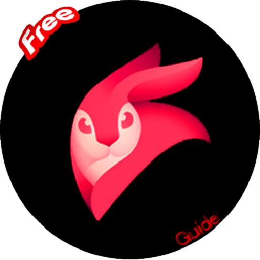 Guide For En light Video-leap 2021 2.0