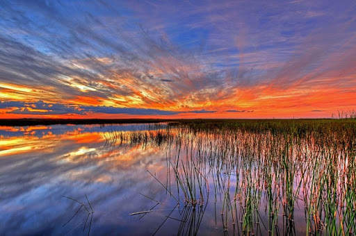 Florida Wallpaper Travel screenshot 20